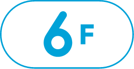 6F